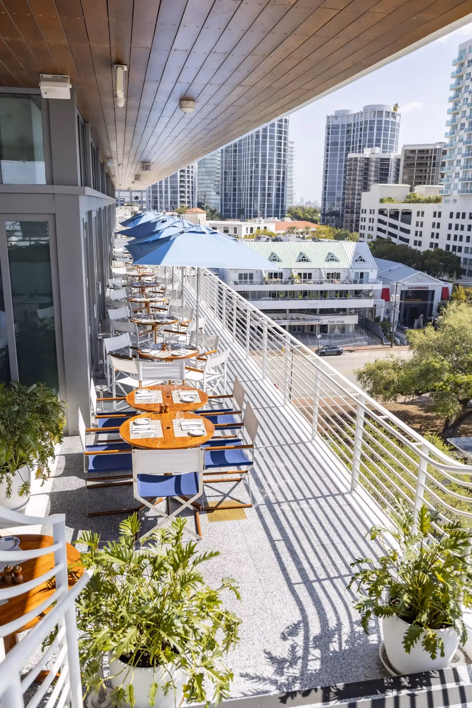 Rooftop Bellini a Miami - 1