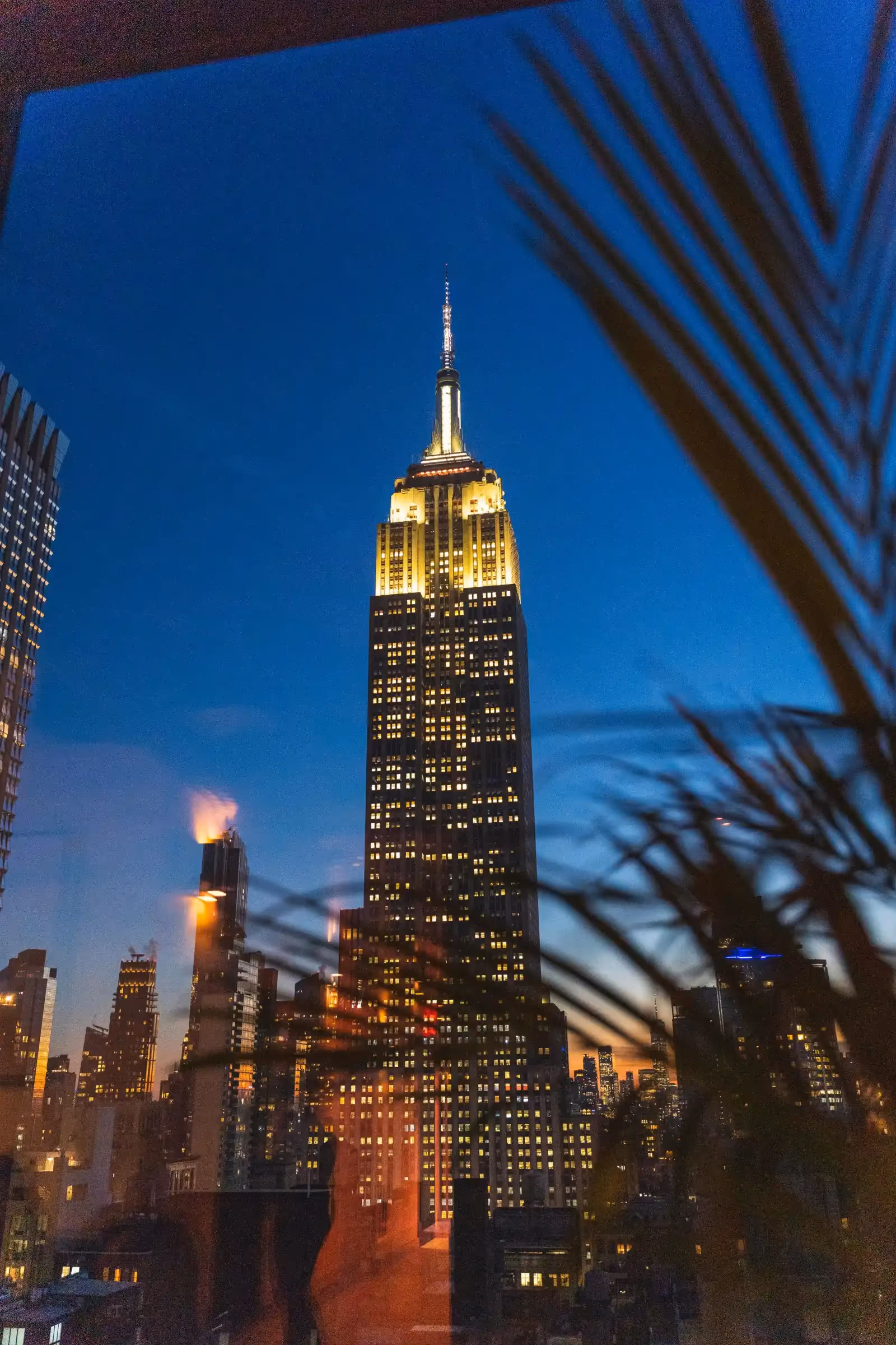 Rooftop Daintree in New York - 2