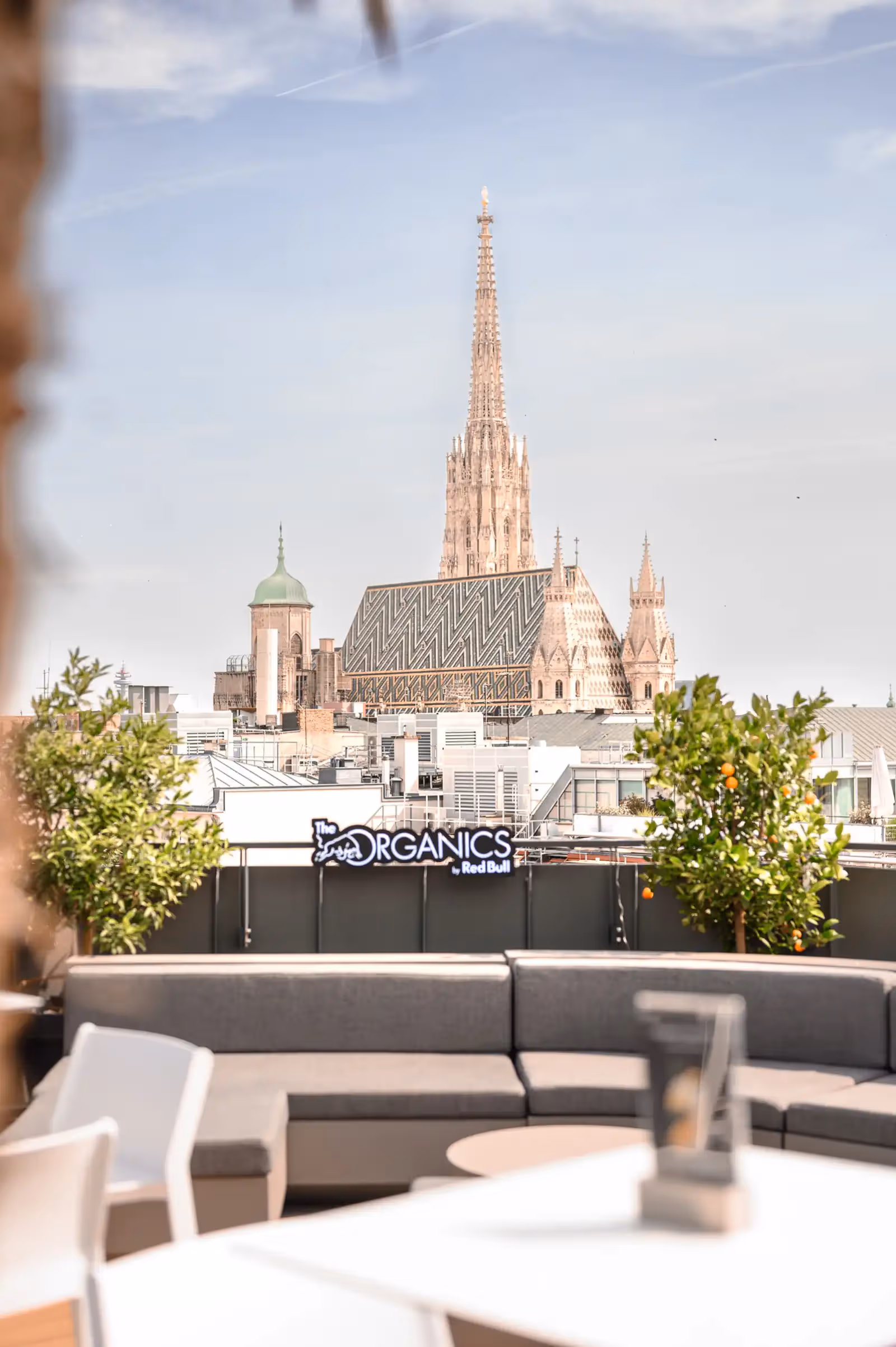 Rooftop ORGANICS Sky Garden a Vienna - 4
