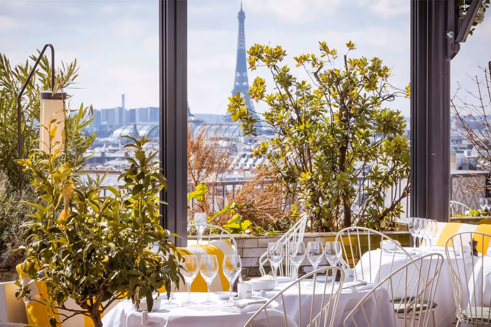 Rooftop Perruche in Parigi - 1