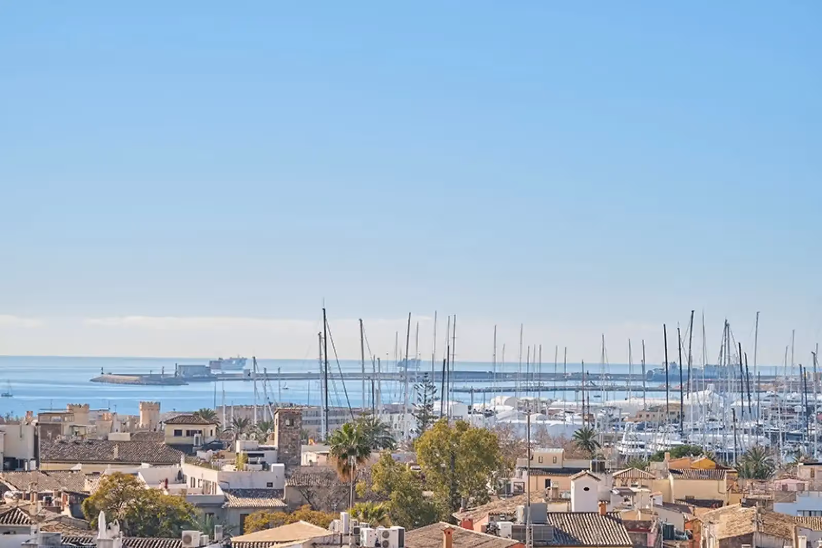 Rooftop Sky Bar Almudaina a Palma di Maiorca - 2