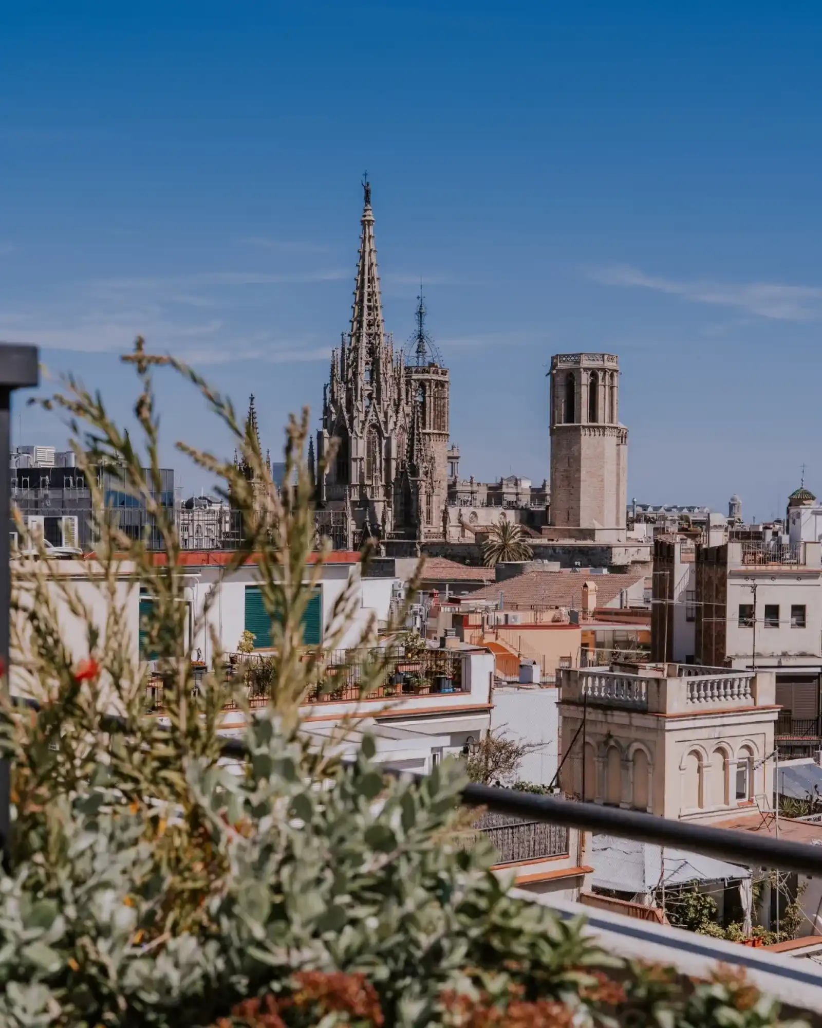 Rooftop Terraza de Vivi in Barcellona - 3