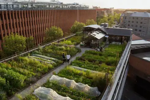 Rooftop Gro Spiseri Copenaghen
