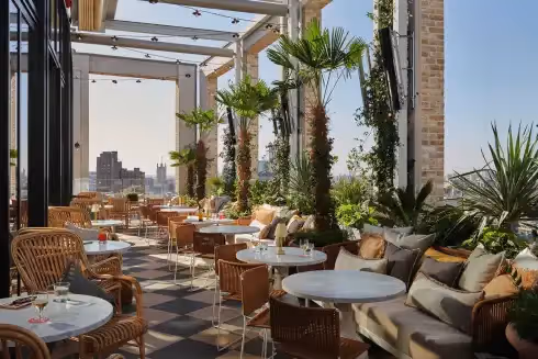 Rooftop Seabird Londra